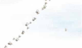 夏令营活动主题标语 夏令营主题名称