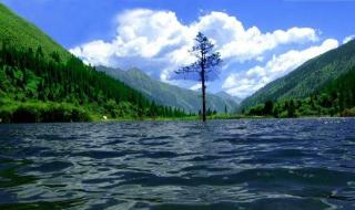 四川达古冰川下雪