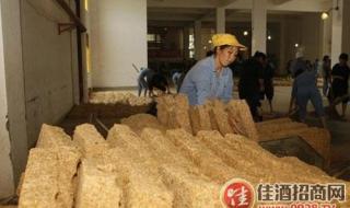 金沙回沙五星是坤沙还是碎沙 被茅台人称为沙的是