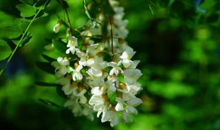 祝福领导前程的诗句 祝愿企业前程好诗句