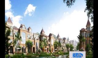 坪山新区的十大特产 深圳市坪山新区