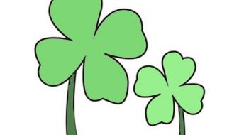 简笔画四叶草的画法 怎么画四叶草最好看