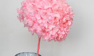不用胶水怎么做桌面小手工 绣球怎么做手工制作