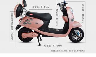 新日电动车价格表