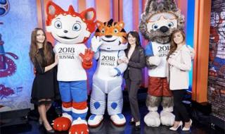 世界杯有哪些项目 世界杯有什么项目